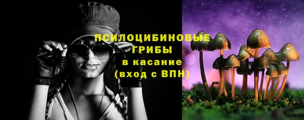 амф Абаза