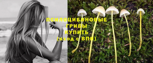 дживик Переславль-Залесский