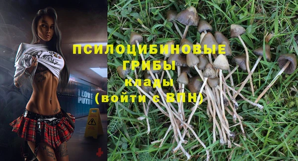 стафф Абинск